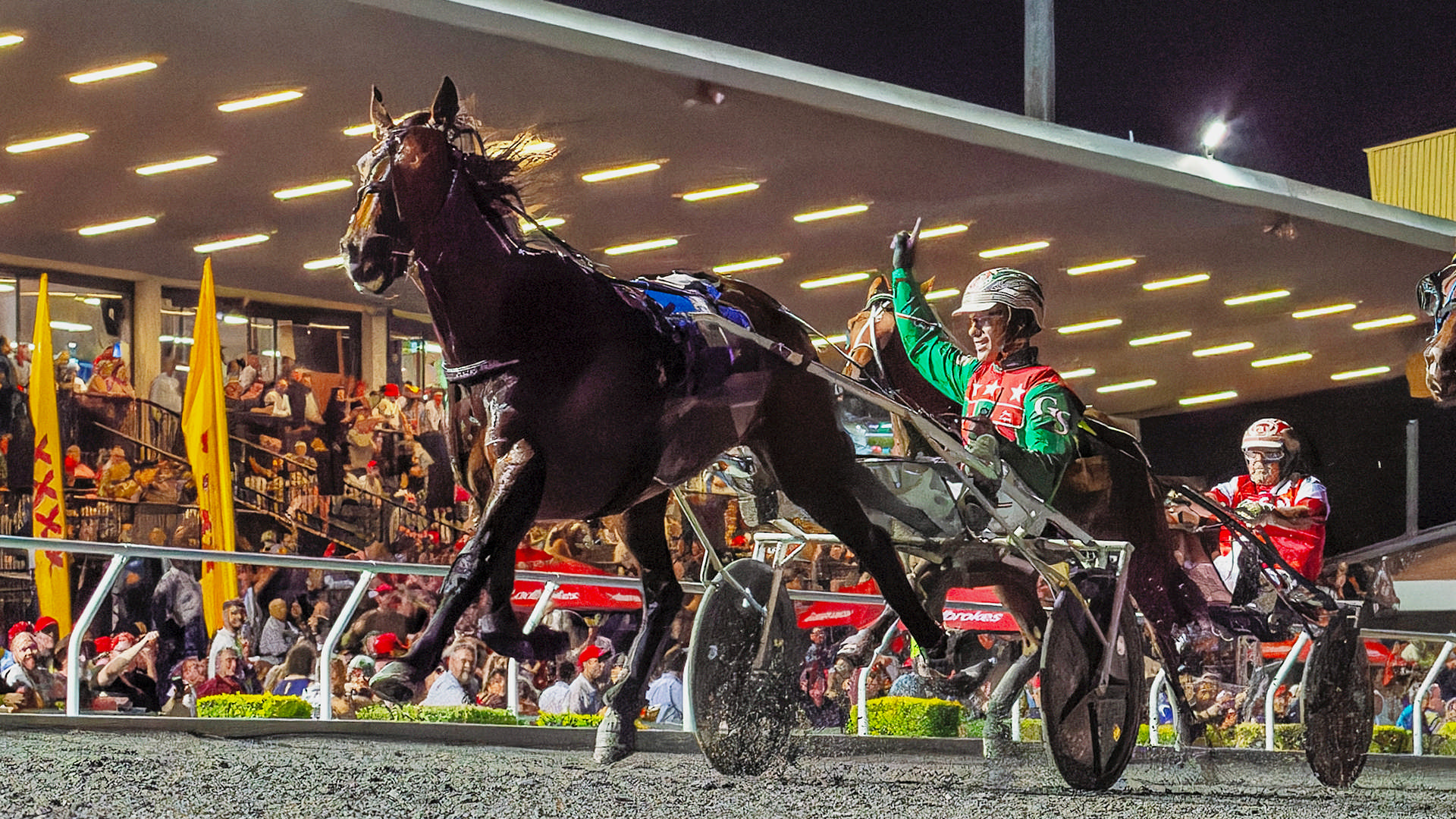 JUST BELIEVE - 2023 Inter Dominion Trotters Championship Final_23