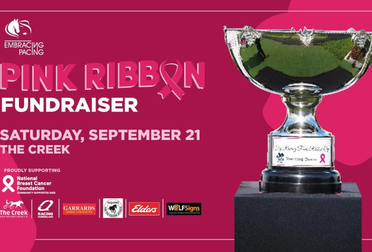 Pink Ribbon Fundraiser Event 2024